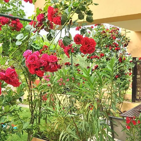 Villa Milonas *