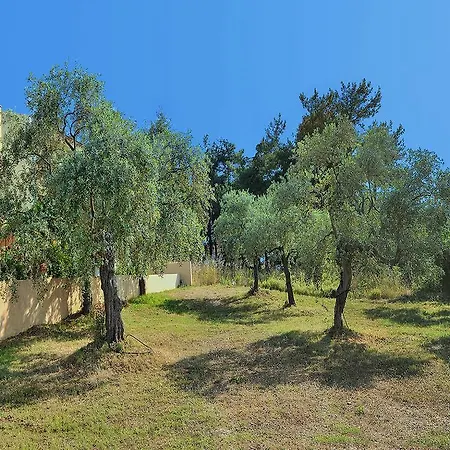 Milonas Skala Rachoni (Thasos)
